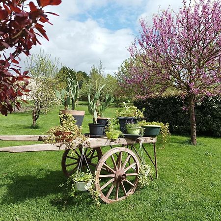 Apartament Le Logis De Lange Apt Les Aigrettes Saint-Hilaire-la-Palud Zewnętrze zdjęcie