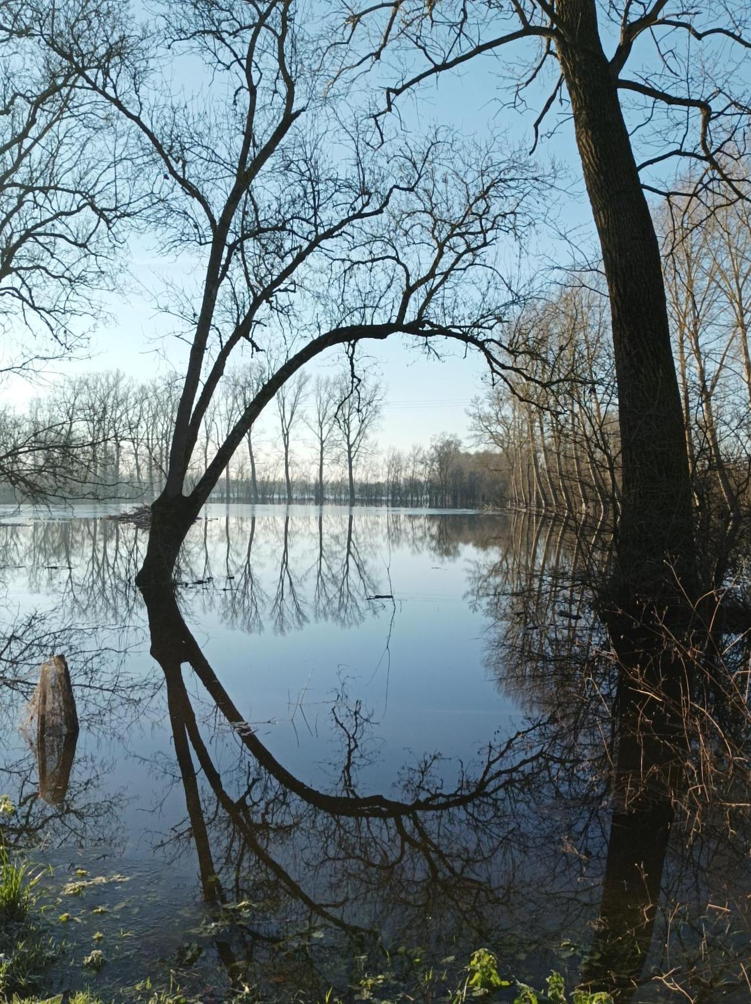 Le Logis De Lange Apt Les Aigrettes Saint-Hilaire-la-Palud Zewnętrze zdjęcie