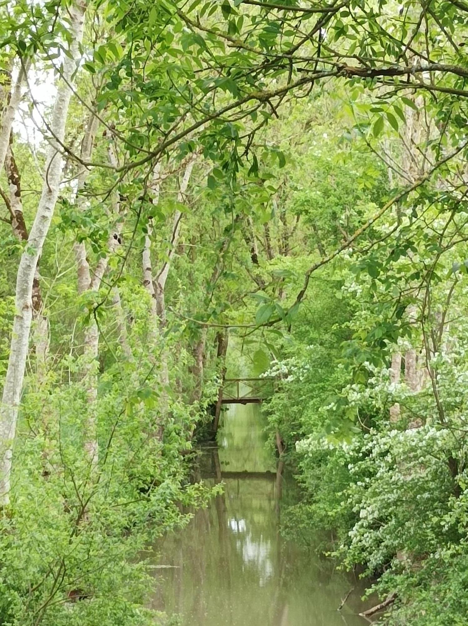 Le Logis De Lange Apt Les Aigrettes Saint-Hilaire-la-Palud Zewnętrze zdjęcie