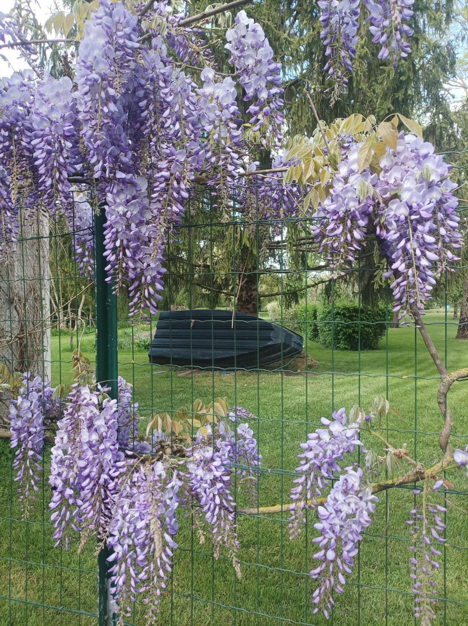 Le Logis De Lange Apt Les Aigrettes Saint-Hilaire-la-Palud Zewnętrze zdjęcie